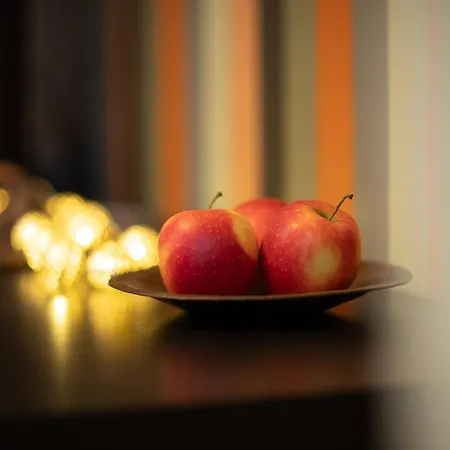 Viktoria - Castle View - Free Parking * ברטיסלאבה